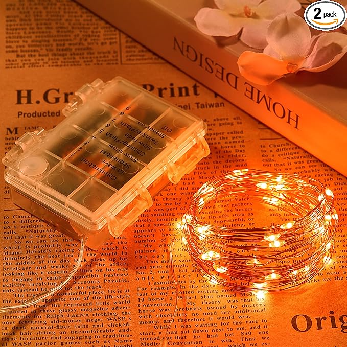 2 Pack 65.6 Ft. Battery Operated Outdoor String Lights by Ariceleo