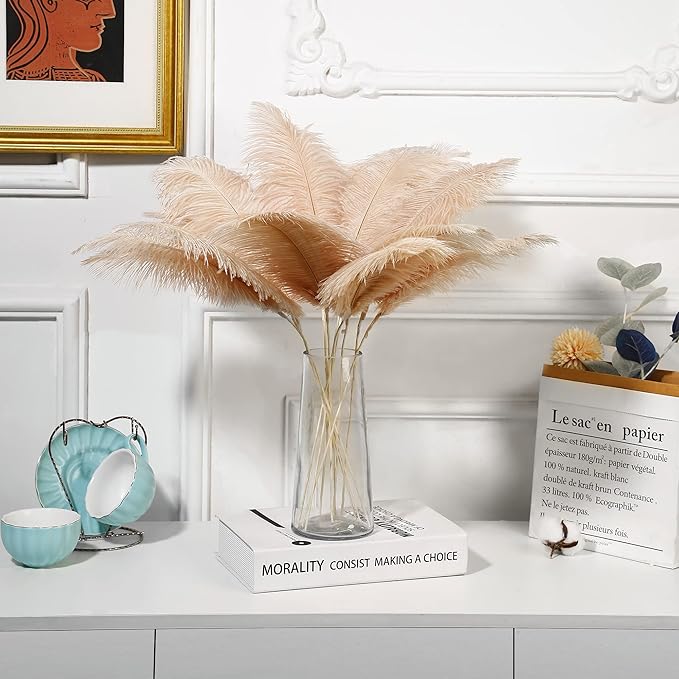 Holmgren Champagne Large Ostrich Feathers - Image 6
