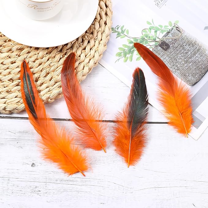 SOGUGOM Orange Rooster Tail Feathers - Image 6