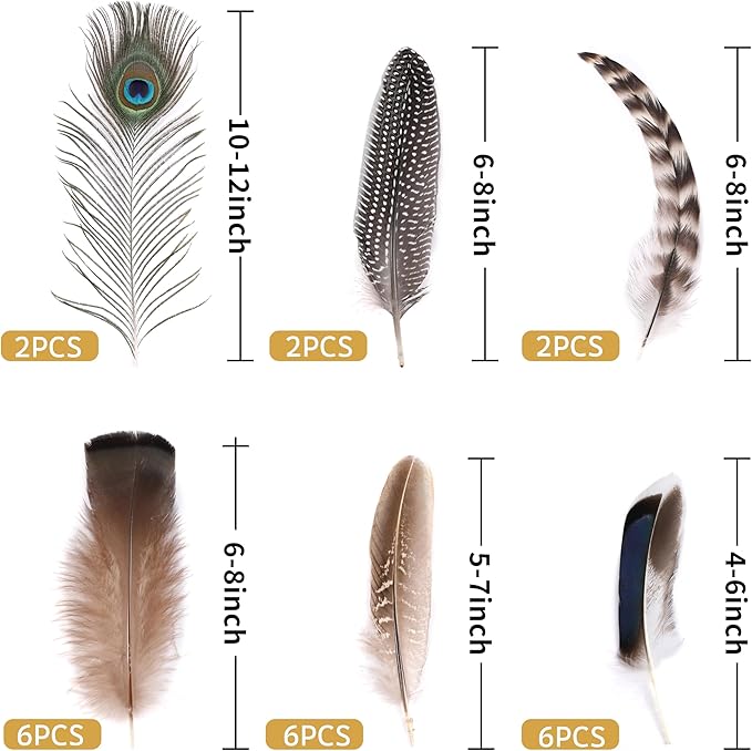 Holmgren 24pcs Natural Feathers Bulk - Image 2