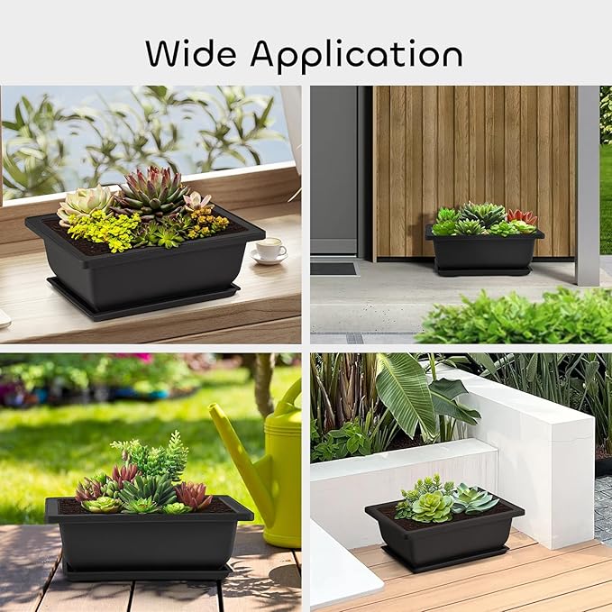 GROWNEER 3 Pcs 6.5 Inch Bonsai Pots - Image 7