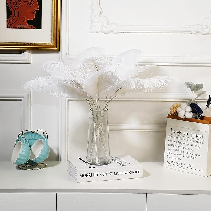 Holmgren White Ostrich Feathers Bulk - Image 5