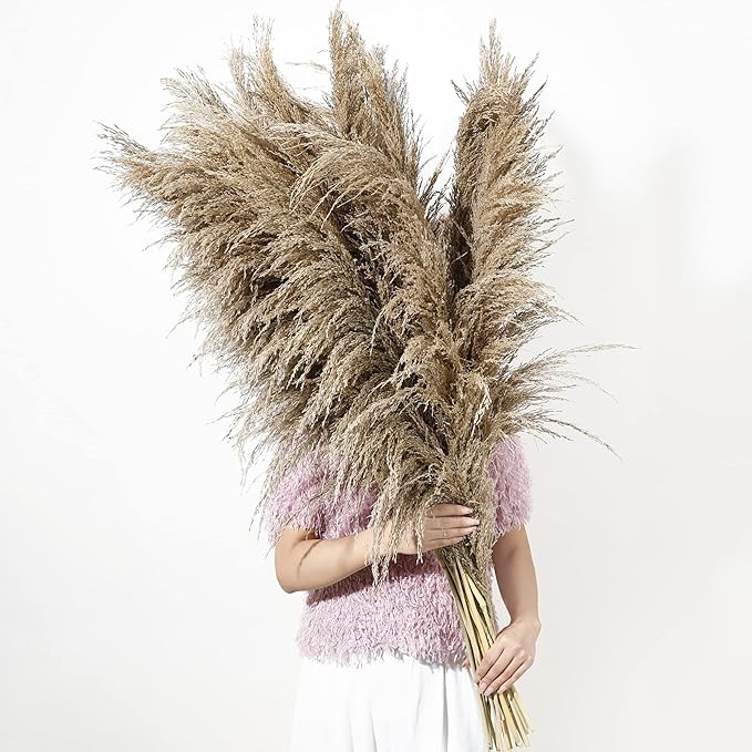 9 Stems Pampas Grass Decor Tall 48''/4 FT, Long Fluffy Dried Pompas Grass by Wertuirk