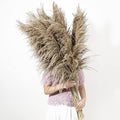 9 Stems Pampas Grass Decor Tall 48''/4 FT, Long Fluffy Dried Pompas Grass by Wertuirk