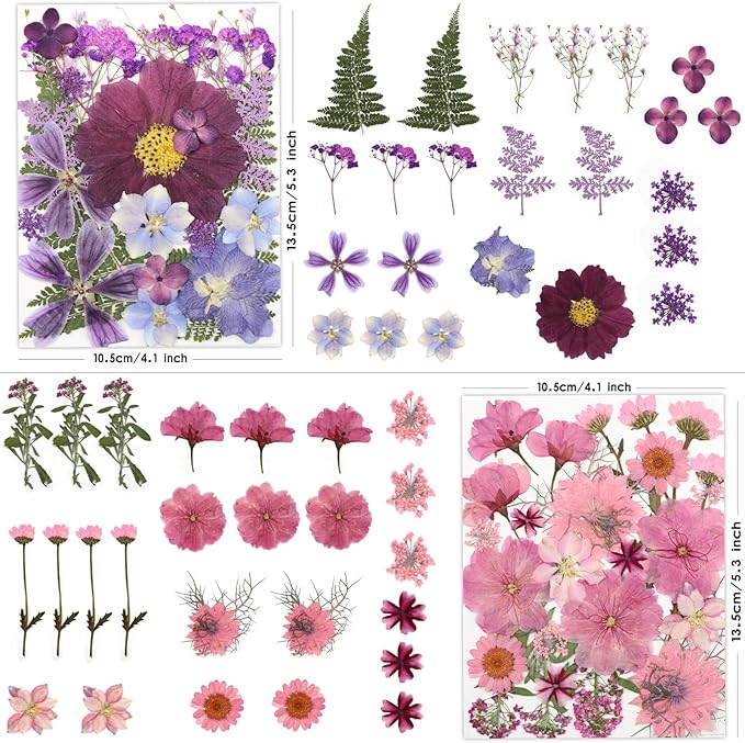 100 Pcs Dried Pressed Flowers for Crafts, Preserved & Dehydrated in - Image 3