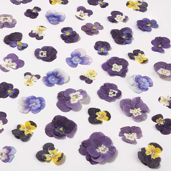 60Pcs Dried Pressed Pansies Flowers by LGFMGWH