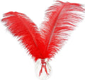 Happy Feather 16-18 inch Red Ostrich Feathers Craft by SupplyHighQualityFeathers