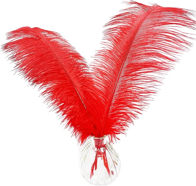 Happy Feather 16-18 inch Red Ostrich Feathers Craft by SupplyHighQualityFeathers