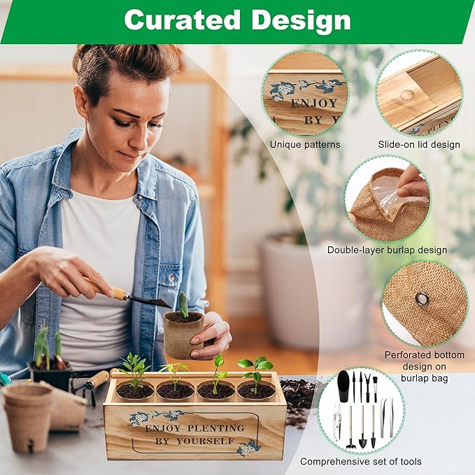Bonsai Tree Starter Kit, Indoor Bonsai Tree Kit Meeting Planting and Caring - Image 3
