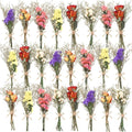 12/24 Pack Dried Flowers for Vase Various Mini Bouquet Dried Small Wildflowers by Unknown