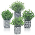 4 Pack Small Fake Plants, Fake Grass Plant, Artificial Boxwood & Rosemary by Unknown