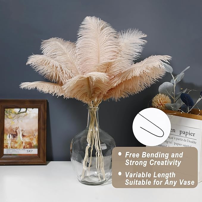 Holmgren Champagne Large Ostrich Feathers - Image 2