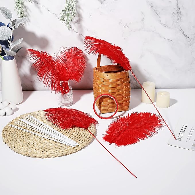 Holmgren Red Ostrich Feathers for Vase - Image 6