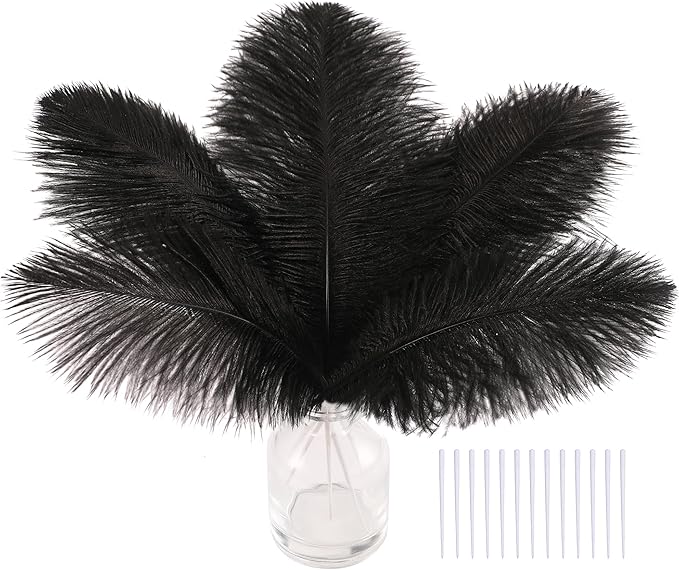 SOGUGOM Black Craft Ostrich Feathers by SOGUGOM