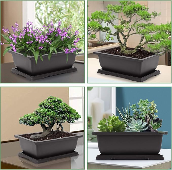 GROWNEER Bonsai Pots 3 Packs 11 Inch Bonsai Tree Training Pot - Image 6