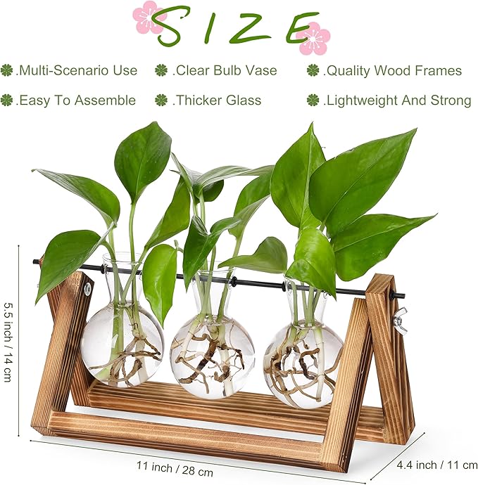 YIBOT Plants Propagation Stations, Desk Plant Terrarium - Image 2
