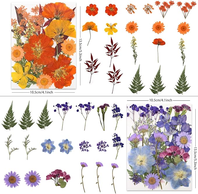 80 Pcs Dried Pressed Flowers for Crafts, Real Natural Dried Pressed Flowers in - Image 3