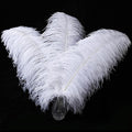 Larryhot White Large Ostrich Feathers by Larryhot