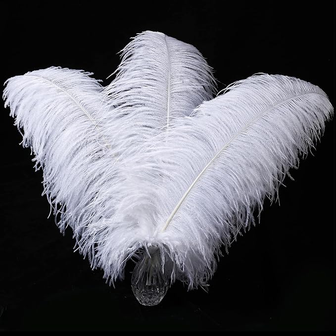 Larryhot White Large Ostrich Feathers by Larryhot