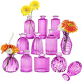 12PCS Hot Pink Vase for Flowers, Small Glass Bud Vases for Centerpieces Purple by PHUNTTEK
