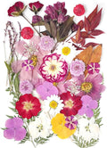 18Types 48PCS Real Dried Purple Pressed Flowers Leaf Plant Herbarium by AHTONG