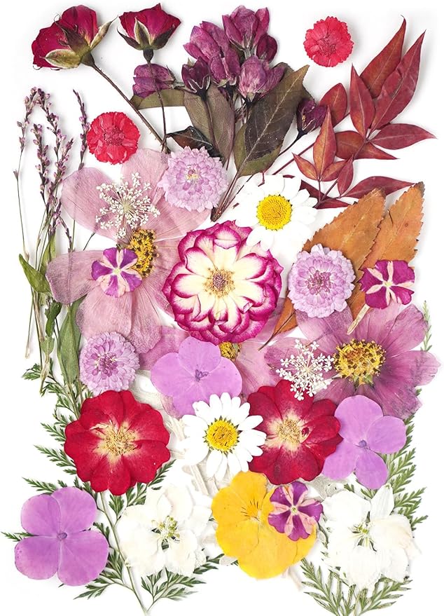 18Types 48PCS Real Dried Purple Pressed Flowers Leaf Plant Herbarium by AHTONG