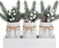 Mason Jars by Winter White, 3 Decorative Jars by SUPREMELIGHTS%C2%B72017%C2%B7