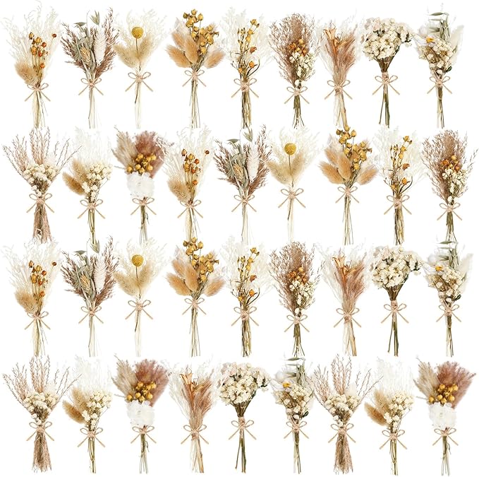 10/12/24/36 Pack Mini Dried Flowers by Unknown