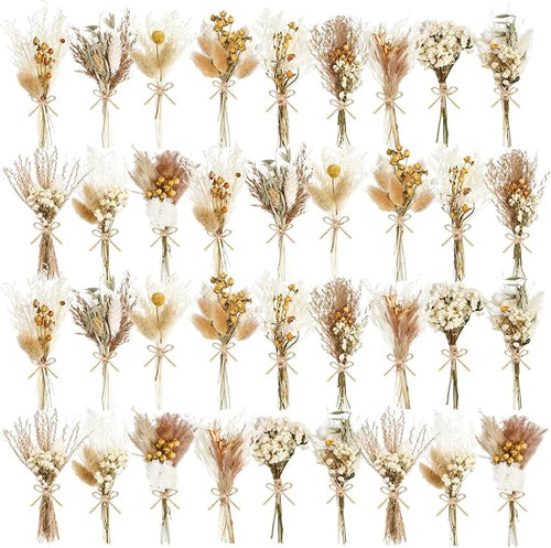10/12/24/36 Pack Mini Dried Flowers by Unknown