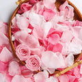 180 PCS Real Pink White Rose Flower Petals Confetti by Eslibin