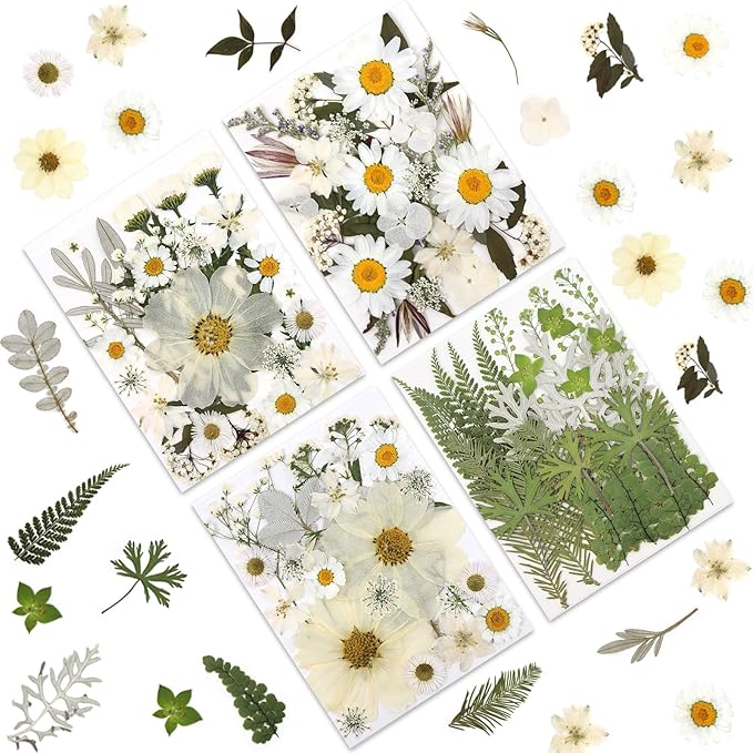 100P White Foliage & Flower Mix Dried Flowers - Image 7