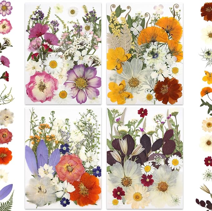 120P 4-Color Mixed Foliage Dried Flowers - Image 4