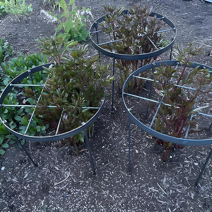 Large Peony Cages and Supports 18.9"x23.6" - Image 9