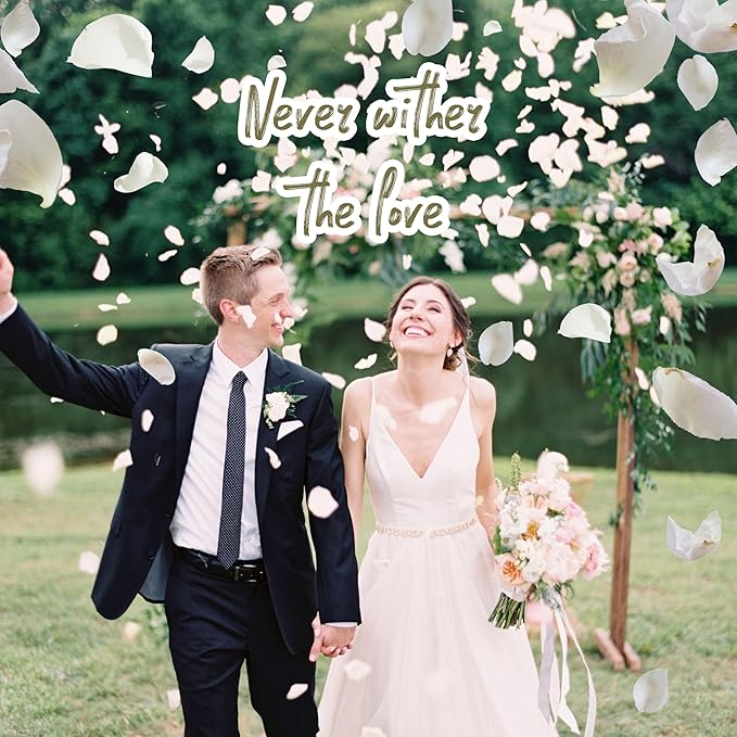 3.5 Oz Dried Rose Petals Wedding Biodegradable Petals, Natural Preservation - Image 9