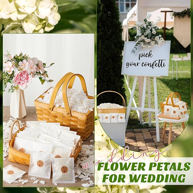 Biodegradable Confetti, Dried Hydrangea Flower Petals - Image 3