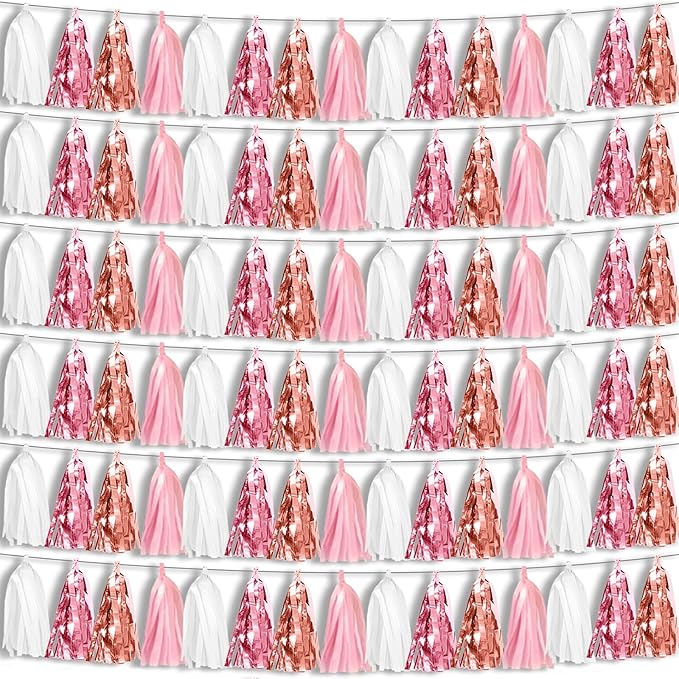 6P Pink White Peach Rose Gold Tassels Foil Fringe Metallic Garland Banner by HYSILLA