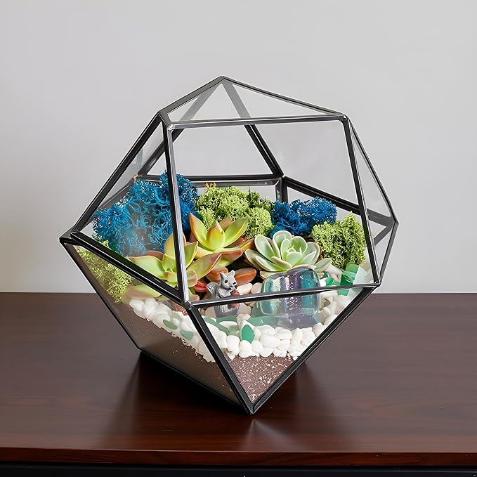 DIY 7" Geometric Terrarium Kit - Image 9