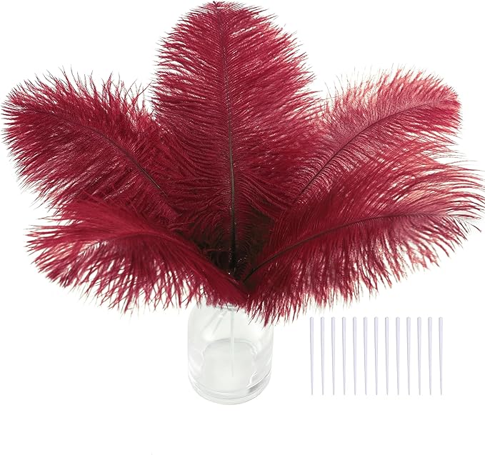 SOGUGOM Burgundy Craft Ostrich Feathers by SOGUGOM