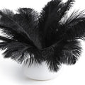 FANDAMEI Black Ostrich Feathers, 10-12 inch, Feathers by FANDAMEI