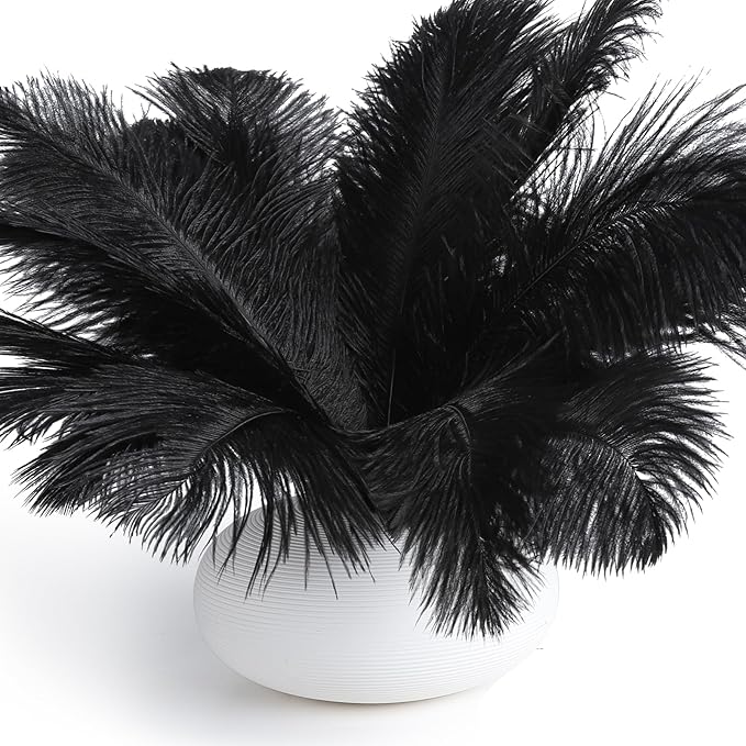 FANDAMEI Black Ostrich Feathers, 10-12 inch, Feathers by FANDAMEI