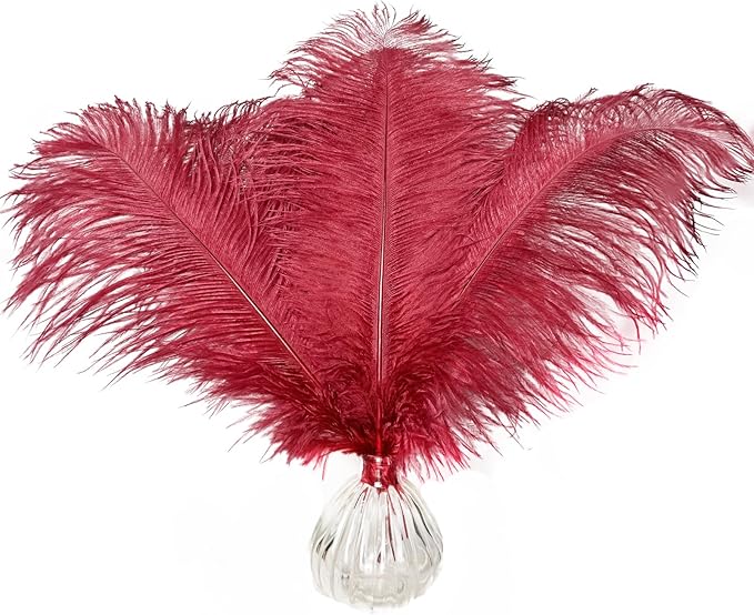 Happy Feather 16-18 inch Wine Rde Ostrich Feathers Craft by SupplyHighQualityFeathers