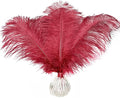 Happy Feather 16-18 inch Wine Rde Ostrich Feathers Craft by SupplyHighQualityFeathers