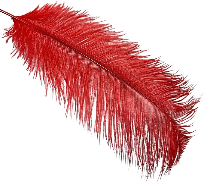 Happy Feather 16-18 inch Red Ostrich Feathers Craft - Image 2