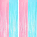 2 Pack Pastel Blue and Pink Foil Fringe Backdrop Curtains, Tinsel Streamers by Voircoloria