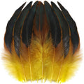 SOGUGOM Yellow Rooster Tail Feathers by SOGUGOM