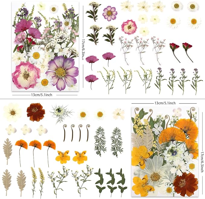 120P 4-Color Mixed Foliage Dried Flowers - Image 2