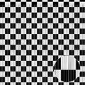 Crosize 2 Pack 3.3 x 9.9 ft Black & White Foil Fringe Curtains Party Decorations by Crosize