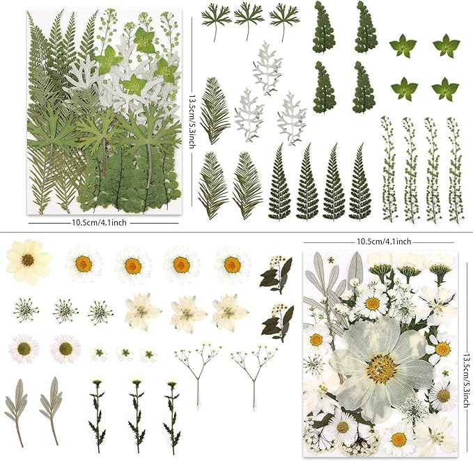 100P White Foliage & Flower Mix Dried Flowers - Image 3