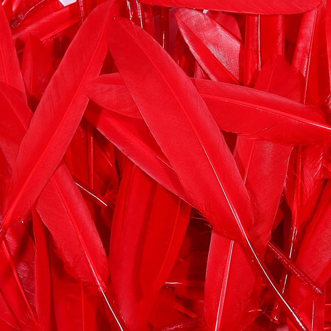 FeelfunFeather 120pcs Red Goose Cochettes Feather Natural Bulk 4-6 inch 10-15cm - Image 5