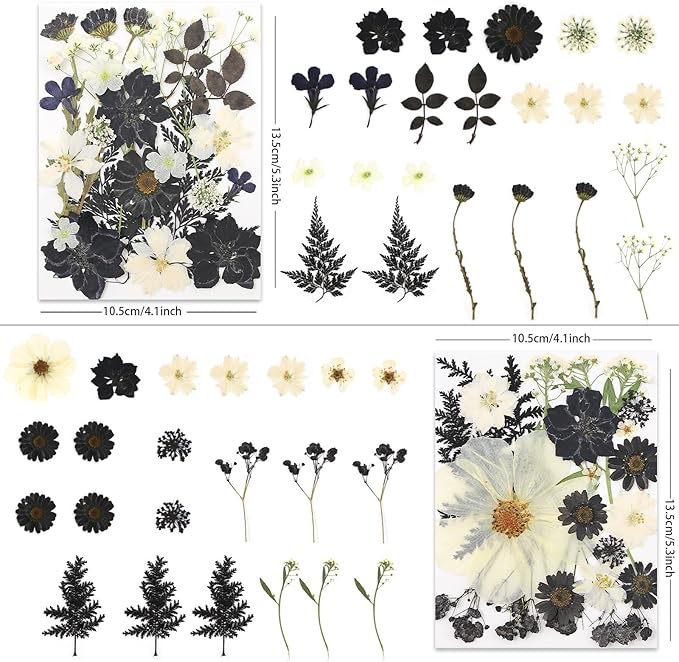90P Black & White Dried Flowers - Image 2